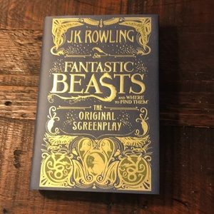 new fantastic beasts original screenplay book
